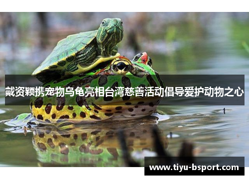 戴资颖携宠物乌龟亮相台湾慈善活动倡导爱护动物之心 戴资颖携宠物乌龟亮相台湾慈善活动倡导爱护动物之心