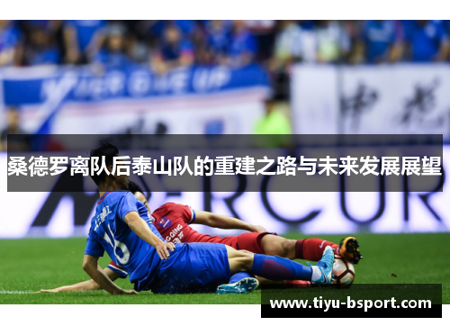 桑德罗离队后泰山队的重建之路与未来发展展望