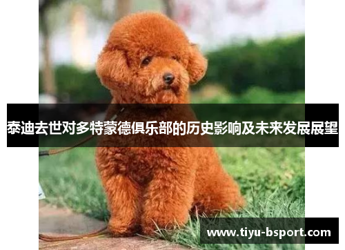 泰迪去世对多特蒙德俱乐部的历史影响及未来发展展望