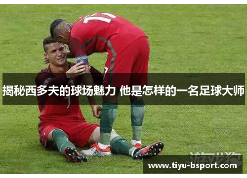 揭秘西多夫的球场魅力 他是怎样的一名足球大师 揭秘西多夫的球场魅力 他是怎样的一名足球大师