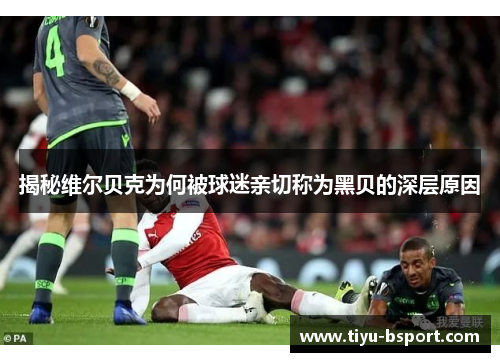 揭秘维尔贝克为何被球迷亲切称为黑贝的深层原因 揭秘维尔贝克为何被球迷亲切称为黑贝的深层原因